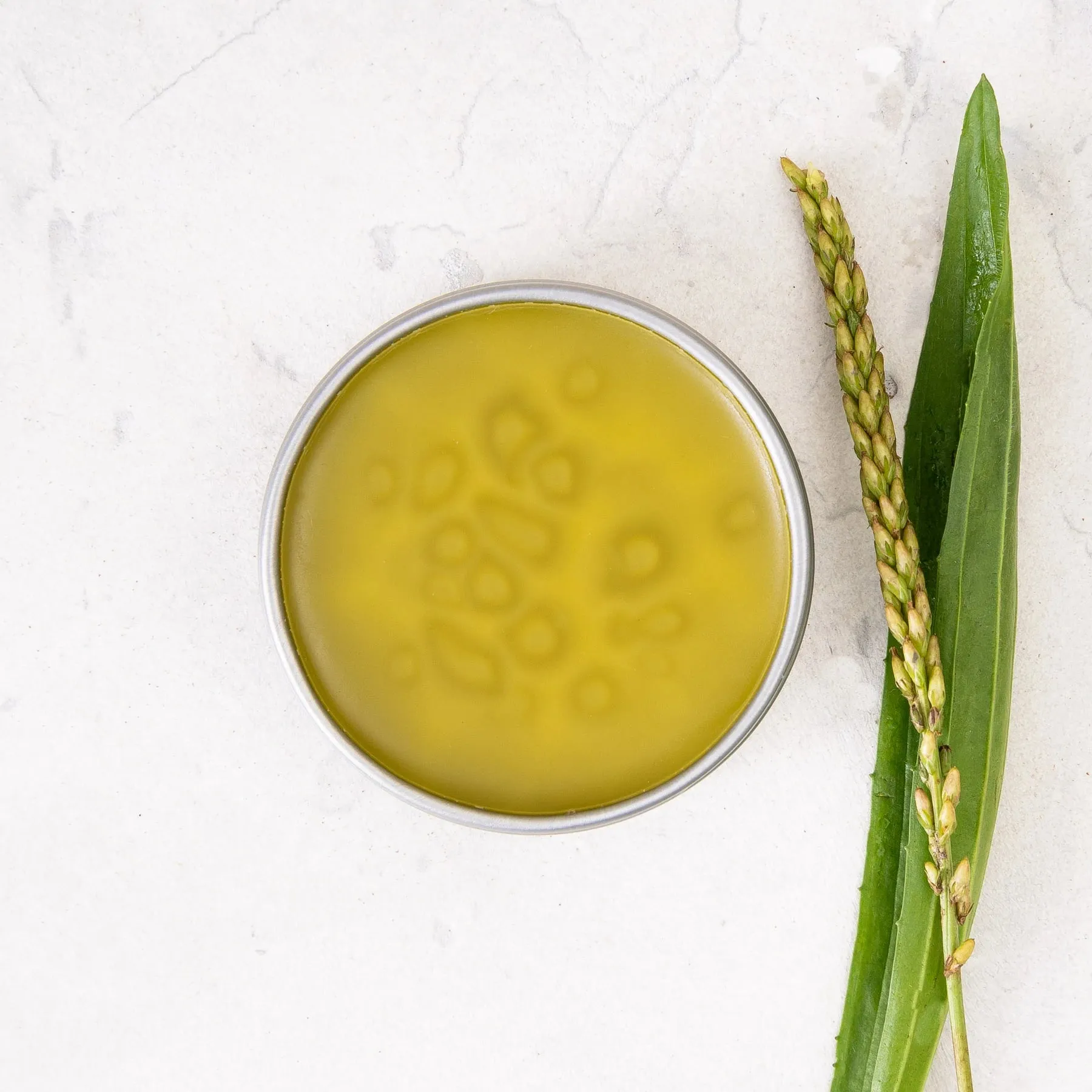Matter Company All-Heal Salve