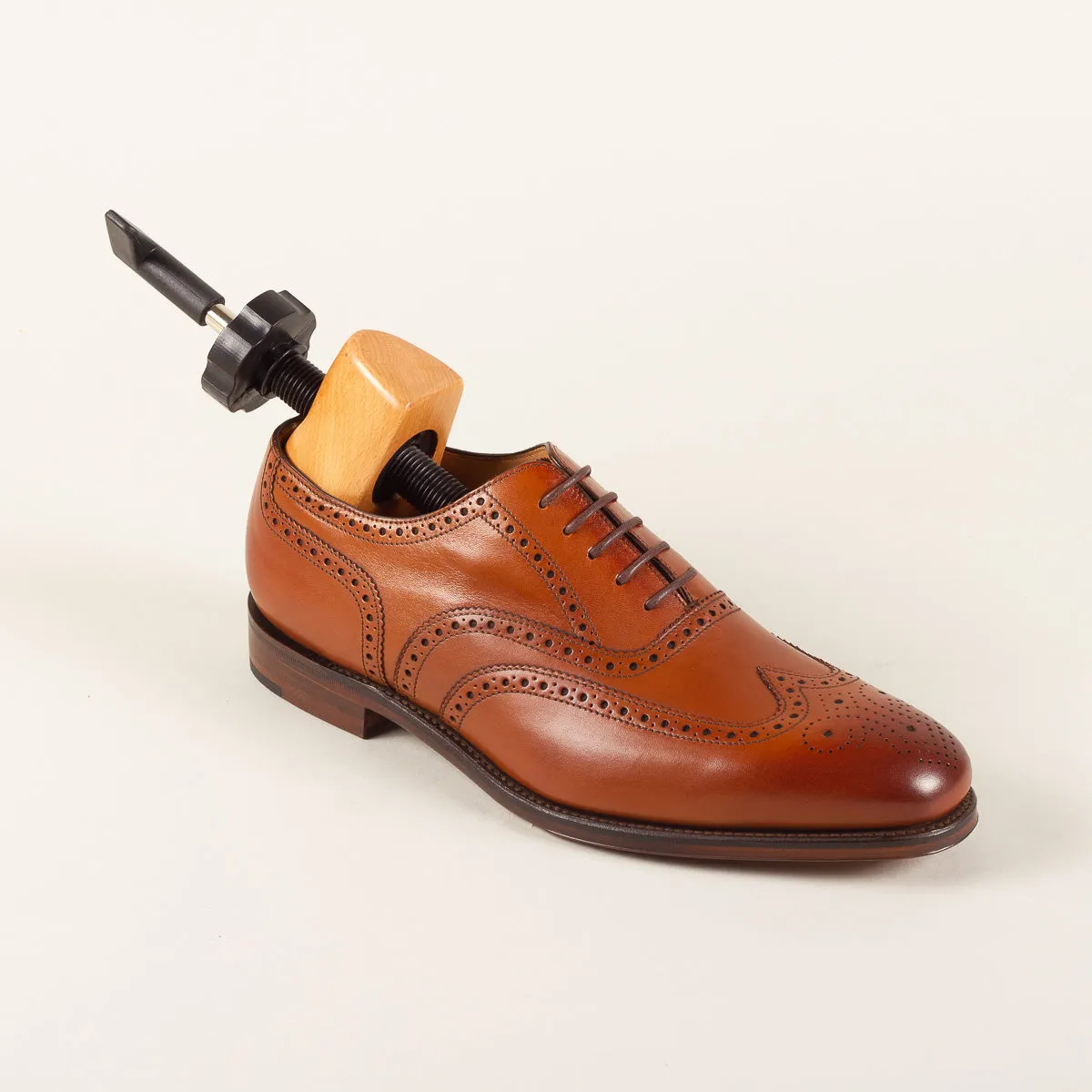 Shoe stretcher